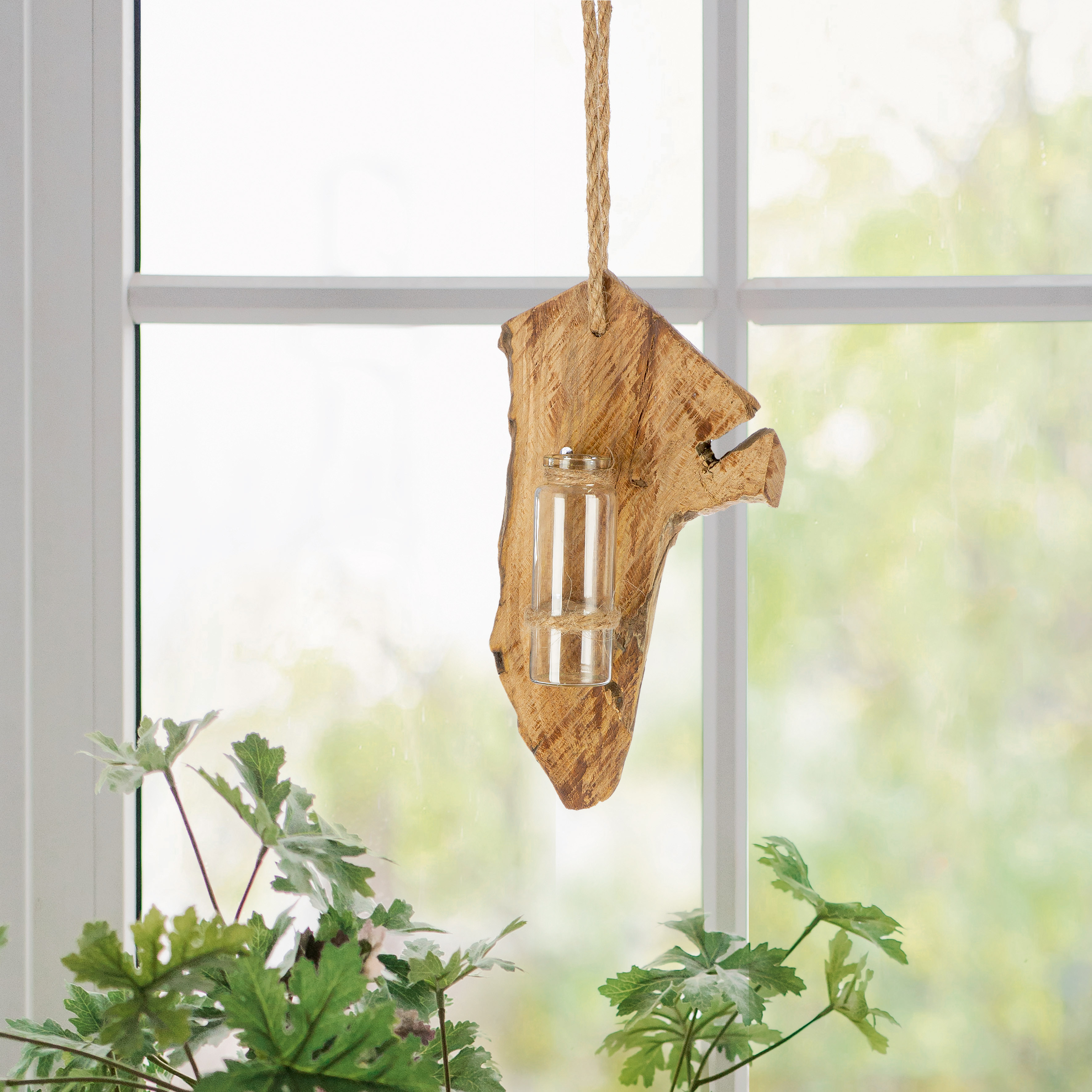 „Nature Float – Hängende Glasvase auf Holz“