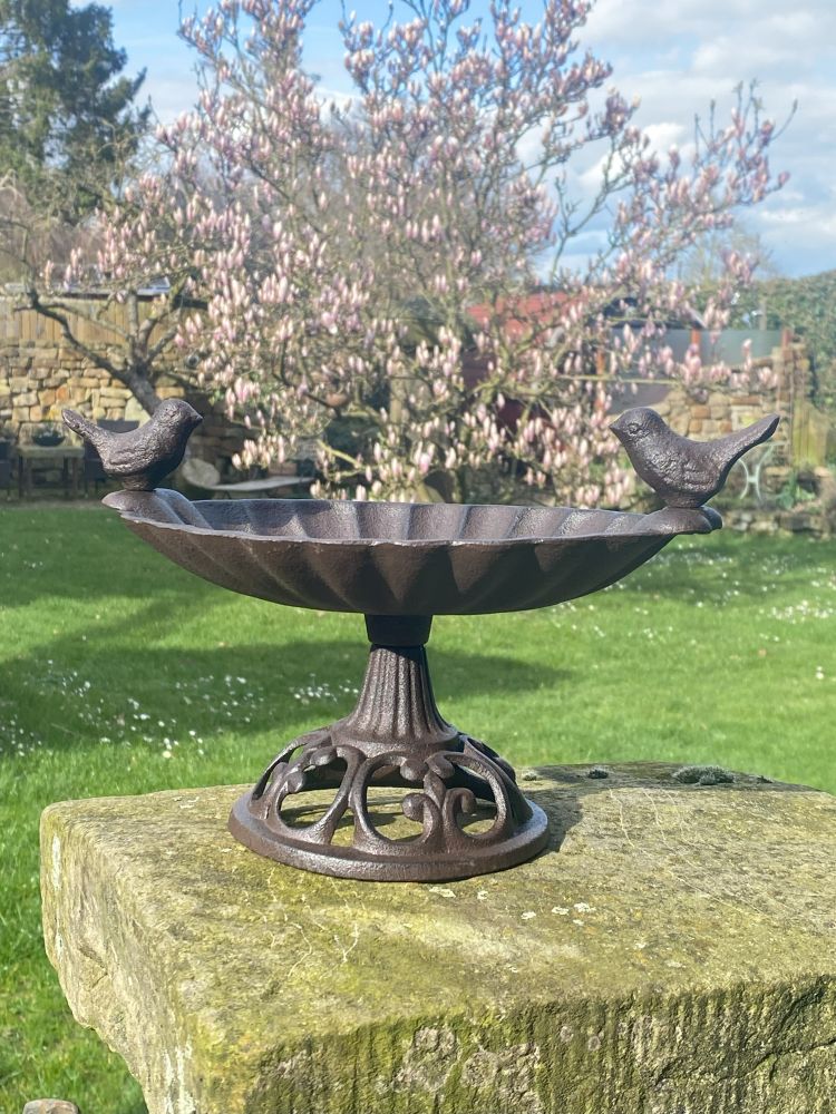 Vogeltränke auf einem Fuß / Gußeisen / Futterplatz für Vögel