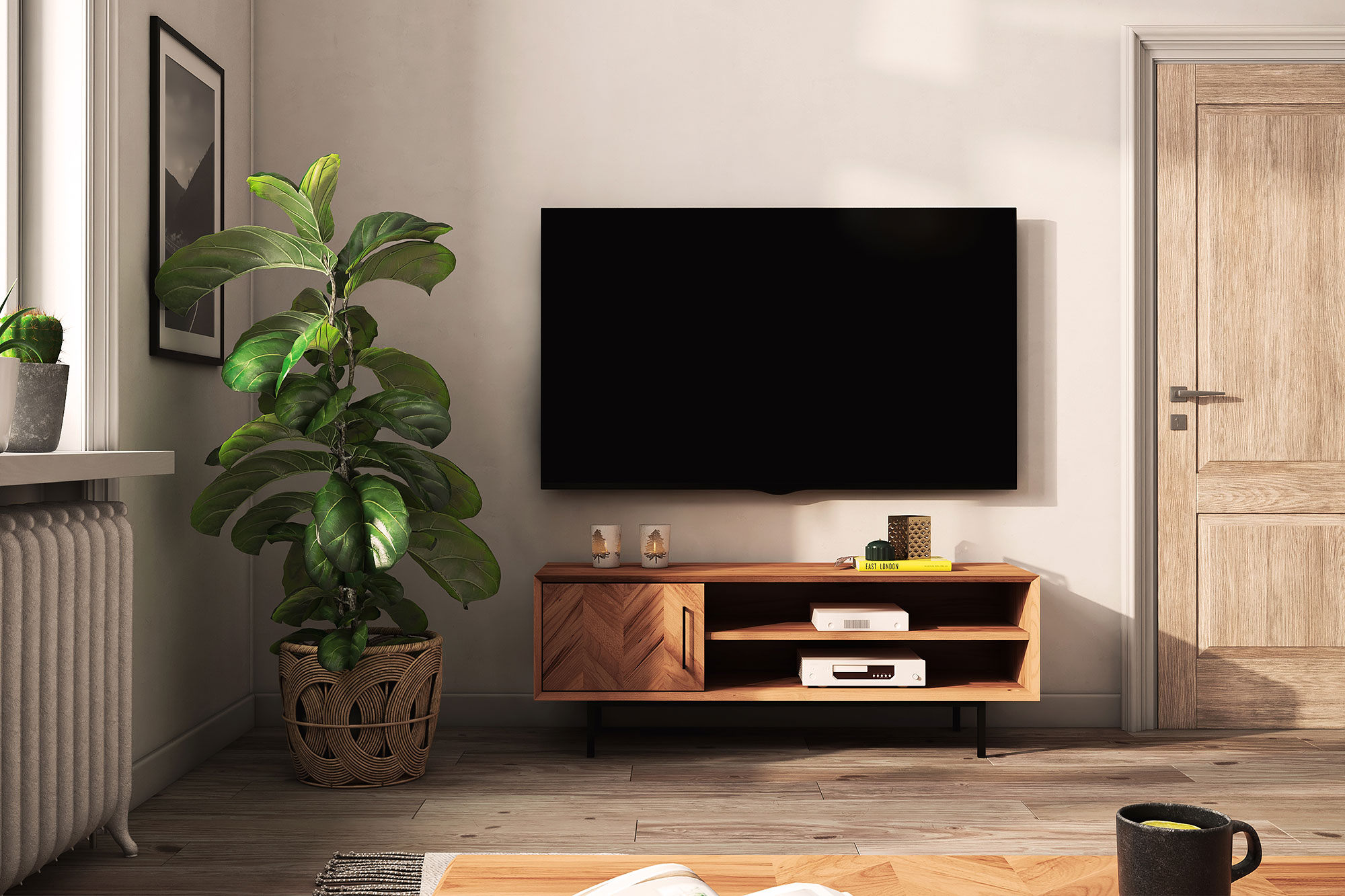 flaches Sideboard - Fernsehunterschrank mit einer Tür / Abies 2712