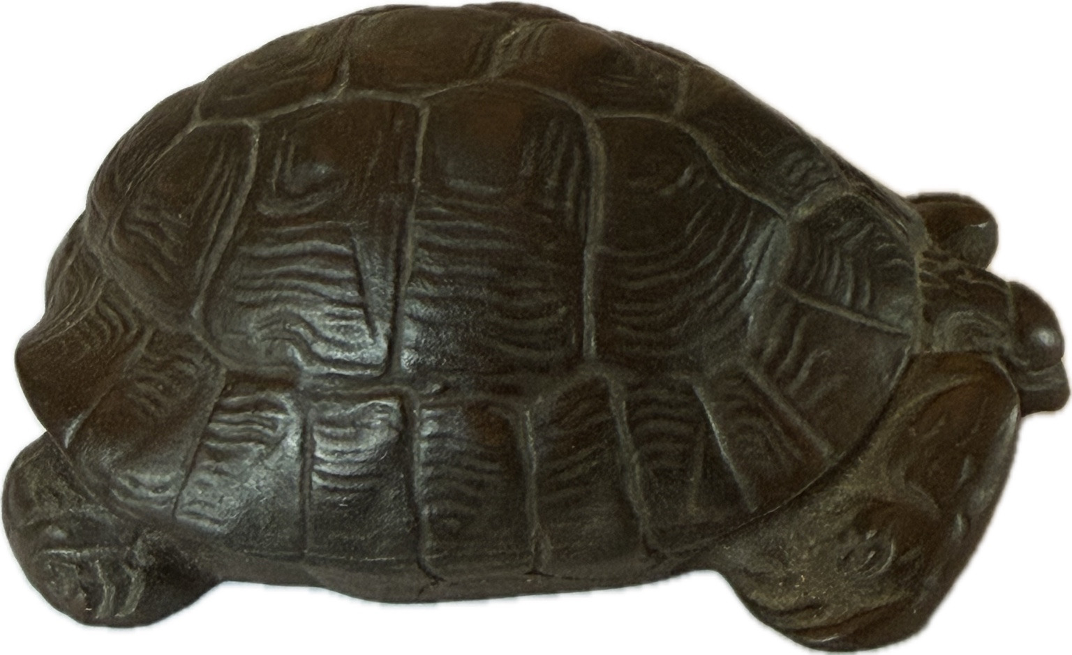 Meissen Schildkröte aus Böttgersteinzeug – Entwurf Erich Oehme – Modell Q274 – Staatliche Porzellan-Manufaktur Meissen