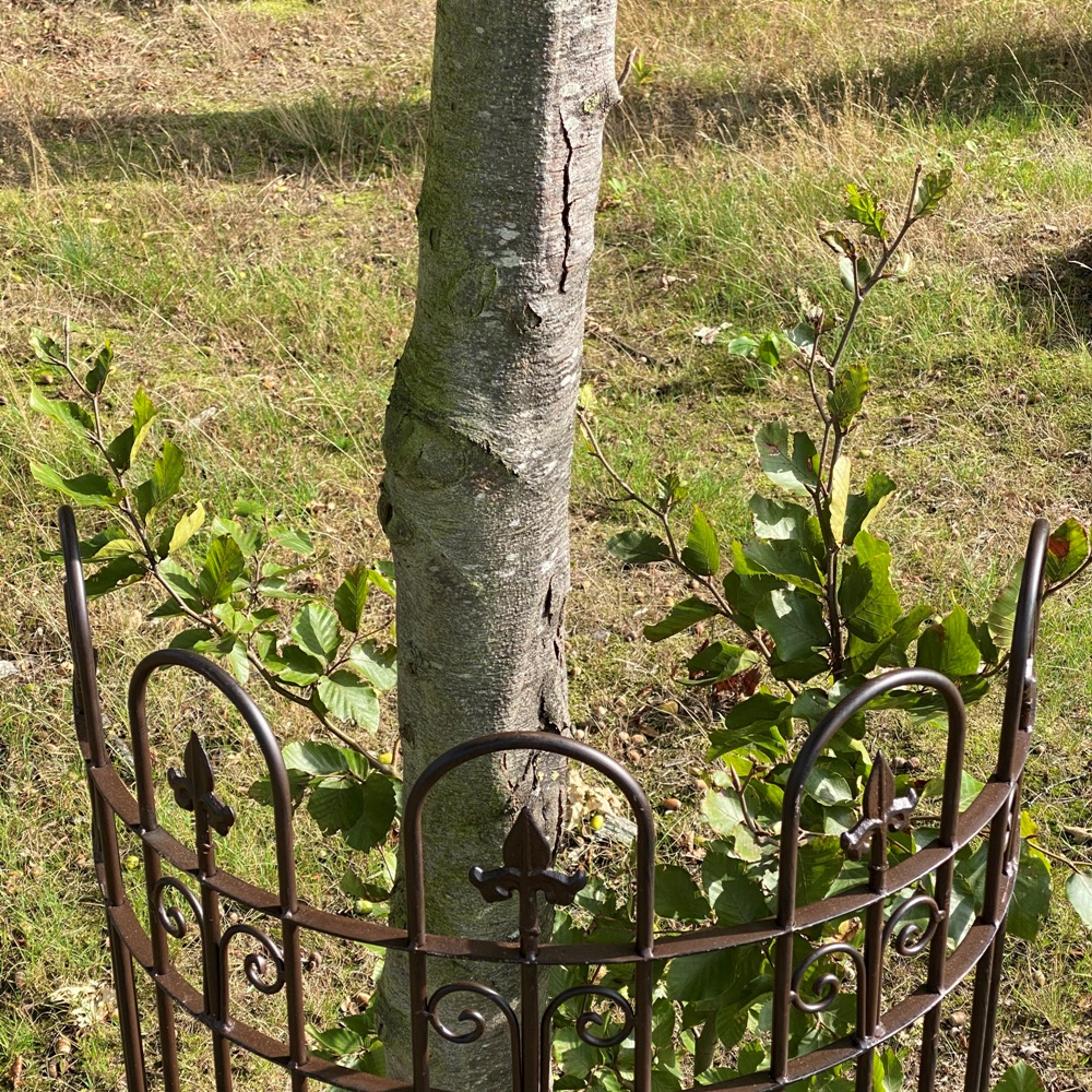 Rankgitter "SOLTANTO" Rankhilfe halbrund